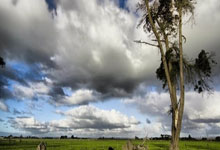 壹号娱乐官网：鲁梅尼格：国米防守尤为出色还有2名顶级前锋 拜.